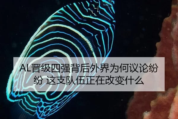 AL晋级四强背后外界为何议论纷纷 这支队伍正在改变什么
